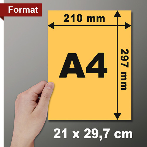 Dépliants A4 (21x29,7 cm)