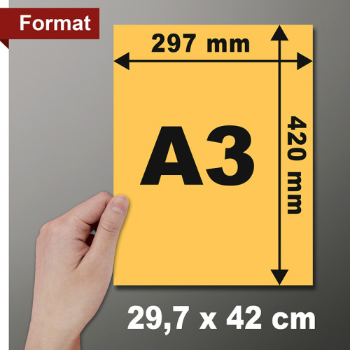 Affiches A3 (29,7x42 cm)